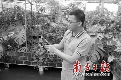 东莞大学生养龟创业两年 纯利超千万 1