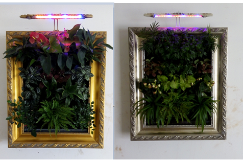 绿之窗智能生态植物壁挂，挂在墙上的花园，让生命呼吸自然 1